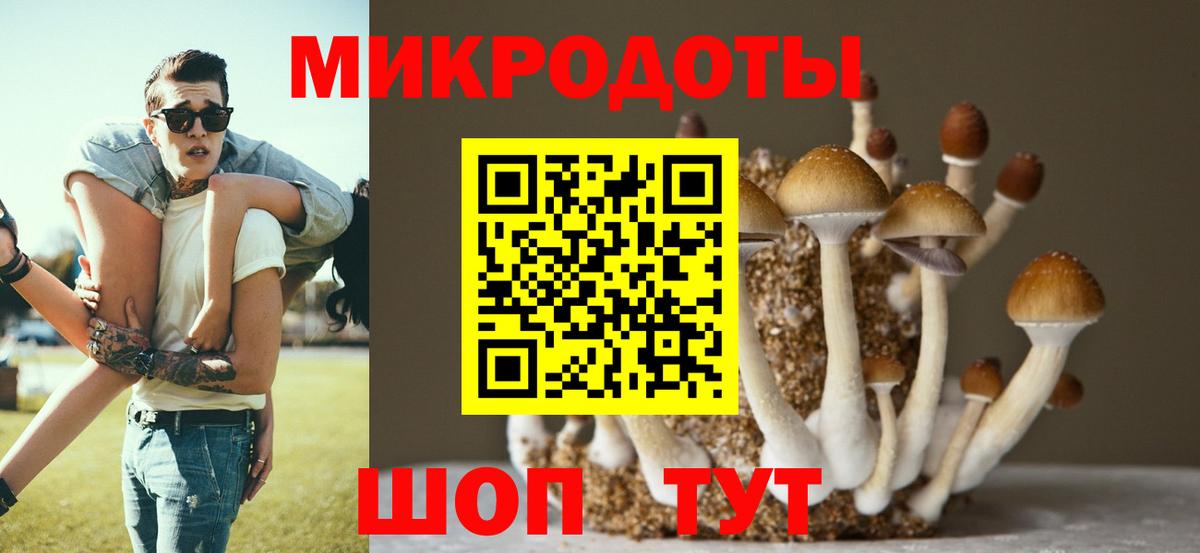 Псилоцибиновые грибы Magic Shrooms  Галлюциногенные грибы ЛСД  Новоуральск  Вход с VPN 